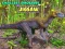 Gioco Puzzle dei dinosauri più piccoli in linea