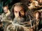 Gioco Collezione di Puzzle de Lo Hobbit in linea