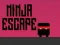 Gioco Fuga Ninja in linea