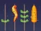 Gioco Partita di Barbecue in linea