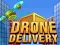 Gioco Consegna con Drone in linea