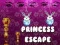 Gioco Fuga della Principessa in linea