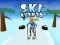 Gioco Ski Rush 3D in linea