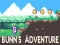 Gioco L'avventura di Bunn in linea