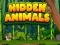 Gioco Animali nascosti in linea