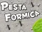 Gioco Festa delle Formiche in linea