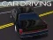 Gioco Guida dell'auto in linea