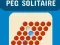Gioco Solitaire con perni in linea