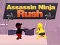 Gioco Assassino Ninja Rush in linea
