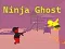 Gioco Fantasma Ninja in linea