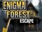 Gioco Fuga dalla Foresta Enigma in linea