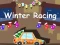 Gioco Corse invernali 2D in linea
