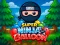 Gioco Super Ninja Balloon in linea