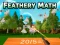 Gioco Matematica piumata in linea
