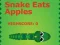 Gioco Il serpente mangia mele in linea