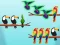 Gioco L'ordinamento degli uccelli sfide in linea