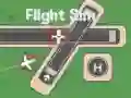 Gioco Simulatori di Volo in linea