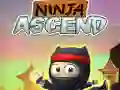 Gioco Ninja Ascendere in linea Gioco Ninja Ascendere in linea