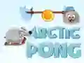 Gioco Pong Artico in linea Gioco Pong Artico in linea