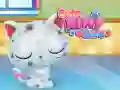 Gioco Cura del Gattino Carino in linea Gioco Cura del Gattino Carino in linea