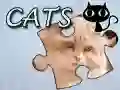 Gioco Puzzle: Gatti in linea