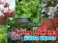 Gioco Fiori di Primavera: Oggetti Nascosti in linea Gioco Fiori di Primavera: Oggetti Nascosti in linea