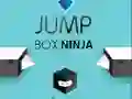 Gioco Ninja della Scatola Salto in linea