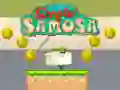 Gioco Samosa Semplice in linea