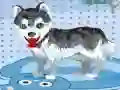 Gioco Il mio cane carino che fa il bagno in linea