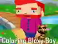 Gioco Colorare Bloxy Boy in linea Gioco Colorare Bloxy Boy in linea