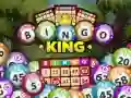 Gioco Re del Bingo in linea Gioco Re del Bingo in linea