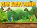Gioco Trova i nomi degli uccelli in linea Gioco Trova i nomi degli uccelli in linea