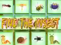 Gioco Trova L'Insetto in linea Gioco Trova L'Insetto in linea