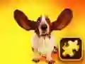 Gioco Puzzle di Cani Divertenti in linea Gioco Puzzle di Cani Divertenti in linea