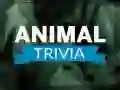 Gioco Trivia sugli Animali in linea Gioco Trivia sugli Animali in linea
