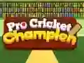 Gioco Campione di Cricket Pro in linea