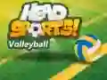 Gioco Pallavolo Head Sports in linea