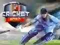 Gioco Cricket 2020 in linea