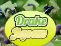 Gioco Puzzle Drake in linea Gioco Puzzle Drake in linea