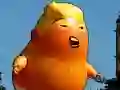 Gioco Avventura Volante di Trump in linea Gioco Avventura Volante di Trump in linea
