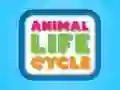 Gioco Ciclo di vita degli animali in linea Gioco Ciclo di vita degli animali in linea