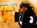 Gioco Rally della Valle del Canyon in linea