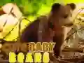 Gioco Deliziosi Cuccioli Di Orso in linea Gioco Deliziosi Cuccioli Di Orso in linea