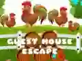 Gioco Fuga dalla guest house in linea