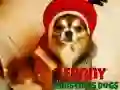 Gioco Cani di Natale Divertenti in linea Gioco Cani di Natale Divertenti in linea
