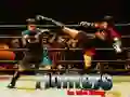 Gioco Combattenti nel Ring in linea Gioco Combattenti nel Ring in linea