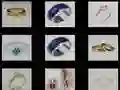 Gioco Memoria degli Anelli in linea Gioco Memoria degli Anelli in linea