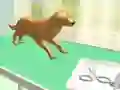 Gioco Cura delle Zampe in linea