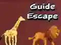 Gioco Guida all'Evasione in linea
