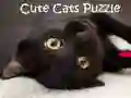 Gioco Puzzle di Gatti Carini in linea Gioco Puzzle di Gatti Carini in linea